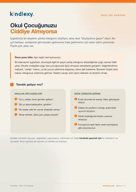 Okul Disleksiyi Ciddiye Almıyorsa: Okul Yol Haritası , kapak